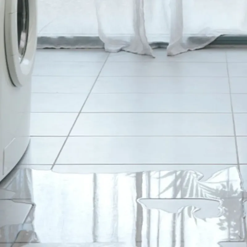 Appliance Leak Cleanup in Van Nuys, CA