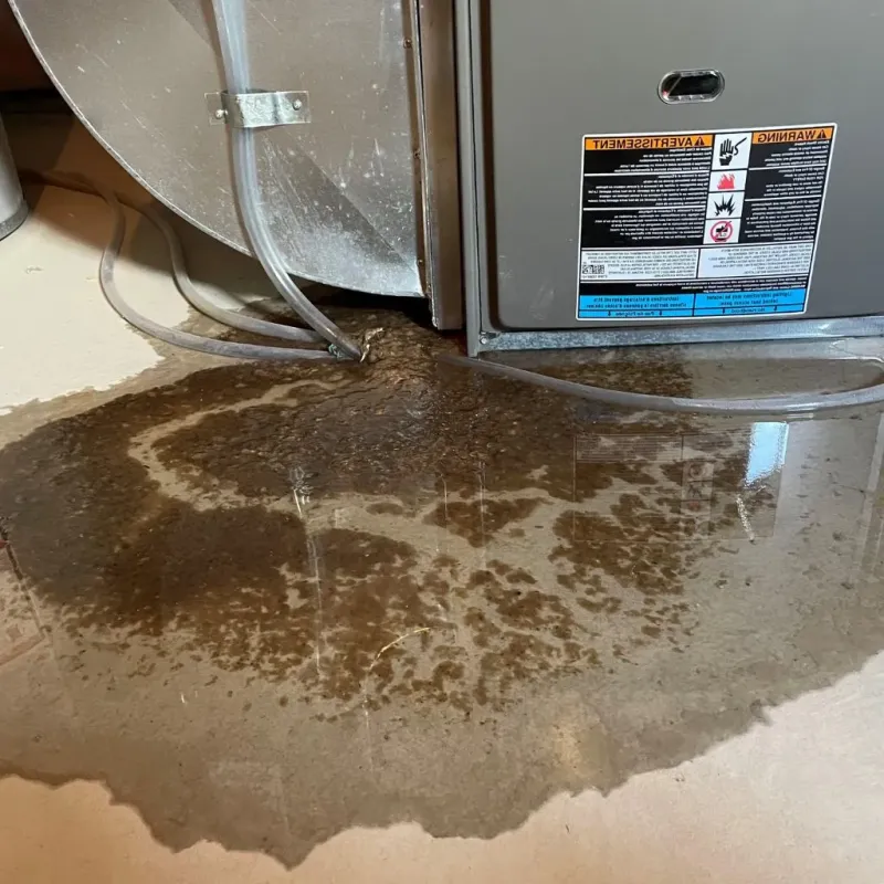 Pipe Burst and Leak Restoration in Van Nuys, CA